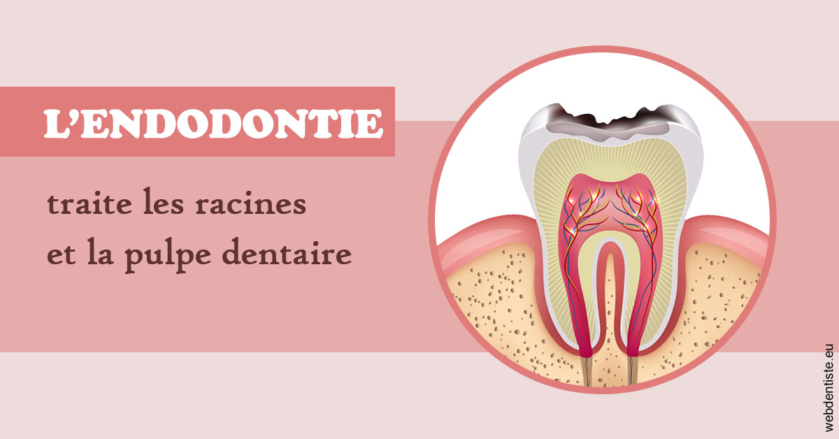 https://docteur-dabert-laurent-anne-gaelle.chirurgiens-dentistes.fr/L'endodontie 2