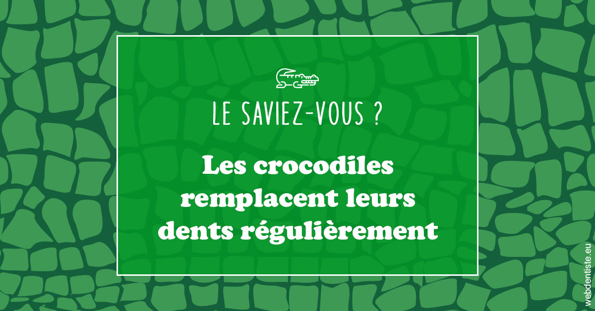 https://docteur-dabert-laurent-anne-gaelle.chirurgiens-dentistes.fr/Crocodiles 1